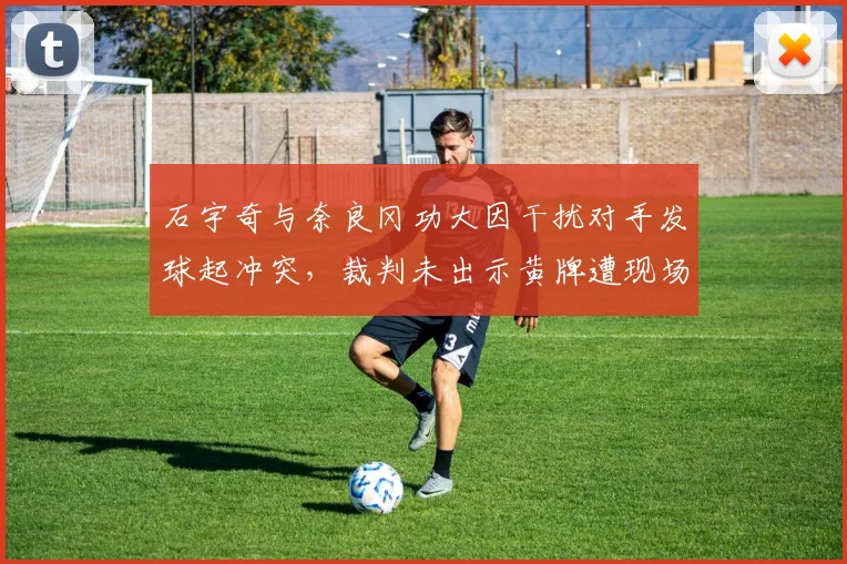 石宇奇与奈良冈功大因干扰对手发球起冲突,裁判未出示黄牌遭现场观众嘘声